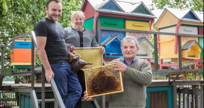Miody z Piwody: kiedyś był jeden ul, dziś jest ponad 100