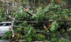 Burza za kierownicą