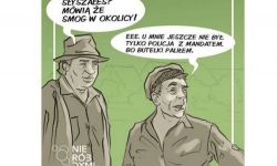 Czym grozi palenie śmieci w kominku?