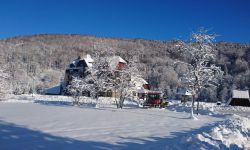 Muczne. W sercu Bieszczadzkiego Worka