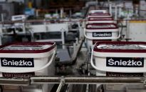 Śnieżka bierze Radomską Fabryką Farb i Lakierów SA.
