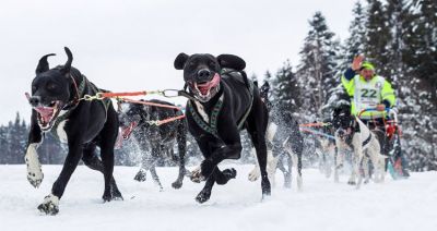 5 najpiękniejszych zdjęć pokazujących Podkarpackie zimą