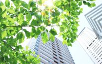 Niekonstytucyjny termin ustawowy na zgłoszenie roszczeń właścicieli nieruchomości w związku z ochroną środowiska