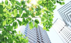 Niekonstytucyjny termin ustawowy na zgłoszenie roszczeń właścicieli nieruchomości w związku z ochroną środowiska