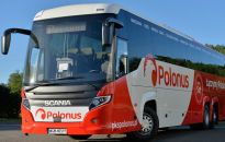 10 tys. biletów o połowę taniej. Neobus i AlbatrosBus w koalicji polskich przewoźników