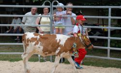 Wielkie święto rolnictwa - Dni Otwartych Drzwi PODR w Boguchwale