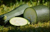 Pełnia sezonu na pożywną cukinię