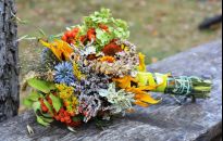 Z kalendarza. Tradycja Matki Boskiej Zielnej