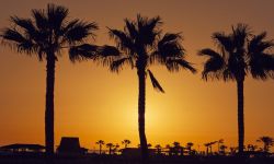 Loty z Modlina na wyspy Kanaryjskie 