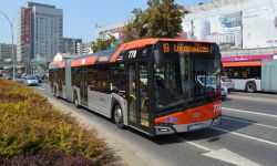 Od 29 października autobusy na cmentarz w Rzeszowie częściej [rozkład jazdy]