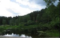 Rosja za Uralem - syberyjska, harda i kultem carów [Reportaż]