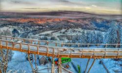 Pierwsza w Polsce wieża widokowa wśród drzew 160 kilometrów od Rzeszowa