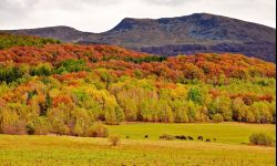 Krzysztof Potaczała i jego "Bieszczady w PRL-u 2" w Radiu Rzeszów