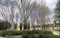 Do 2020 odnowią park przy Dąbrowskiego. Otwarto oferty przetargowe