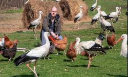 Radosław Fedaczyński: Dla weterynarii zrezygnowałem z bycia rockmanem