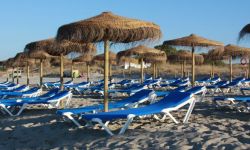 Leżakowanie w ogrodzie i na plaży - funkcjonalne i atrakcyjne meble