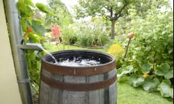 Rzeszowscy radni PiS proponują program dopłat do zbiorników na deszczówkę  