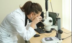 200 tysięcy zł na badania i wynalazki dla rzeszowskich uczelni