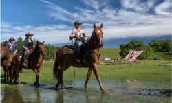 Parada koni i zawody jeździeckie w kolbuszowskim skansenie