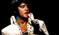 Elvis Presley symfonicznie na rzeszowskim Rynku