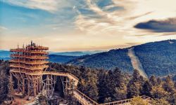 Otwarto jedyną w Polsce wieżę widokową wśród drzew. 160 km od Rzeszowa