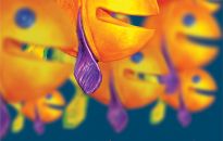 Zgłoś swój optymistyczny film na festiwal