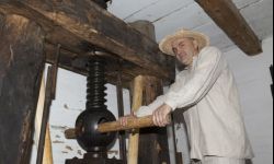 Weekend za pół ceny na Podkarpaciu - zobacz, gdzie będzie taniej