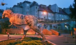 Warsztaty Fotograficzne w Mielcu