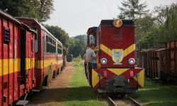 Jest chętny na projekt remontu wąskotorówki Przeworsk-Dynów