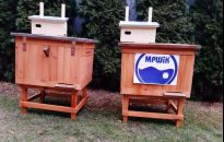 Prawie pół miliona pszczół w Rzeszowie! MPWiK buduje pasiekę!