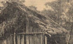 Archiwalny reportaż o Indianach w sieci 