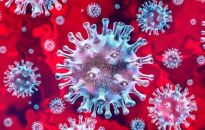 Już 14 osób zakażonych koronawirusem. 2 nowe zachorowania w mieleckim 