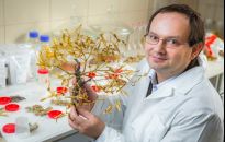 Męski alfabet. Przy kryzysie czy epidemii pomoże nam wiedza o ziołach