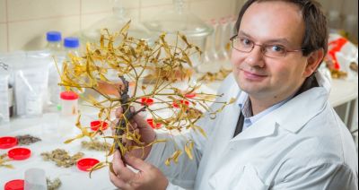 Męski alfabet. Przy kryzysie czy epidemii pomoże nam wiedza o ziołach