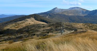 Od środy zamknięte wszystkie szlaki w Bieszczadach
