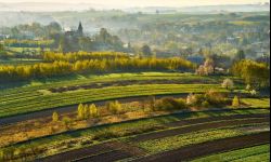 Okolice Rzeszowa - gmina Boguchwała. Galeria Fotografii