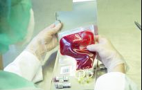 Krew to bezcenny skarb, którym warto się dzielić