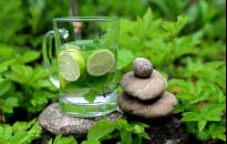 Mięta - jaką posadzić w ogrodzie?  