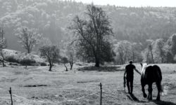 "Znikające obrazy Podkarpacia...?" w skansenie w Kolbuszowej