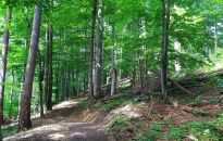 Trasy rowerowe w Bieszczadach. 