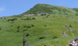 W Bieszczadach ponad 30 proc. więcej turystów w wakacje niż rok temu