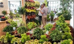 Giełda Domów i Mieszkań oraz Targi Wnętrz i Ogrodnictwa w Jasionce