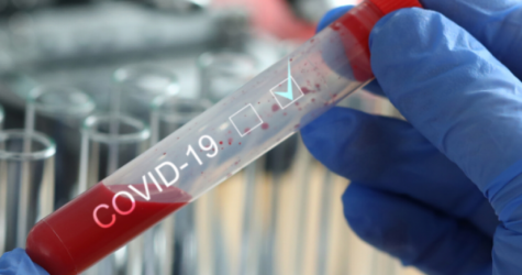  1 185 wykonanych testów na Podkarpaciu i 458 nowych zakażeń koronawirusem