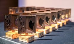 Znamy Laureatów Konkursu Podkarpacka Nagroda Gospodarcza 2020