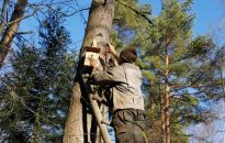 Przed zimą czas na skrzynki lęgowe w podkarpackich lasach