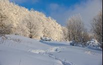 Na weekend. Bieszczady i Połonina Caryńska
