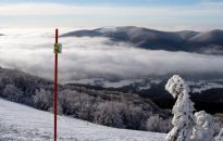 Czerwona tyczka ratuje w górach życie! Także w Bieszczadach