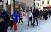 Ile zebrały podkarpackie sztaby WOŚP? Na razie najwięcej Rzeszów