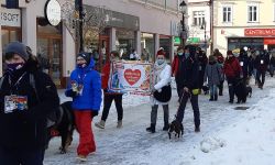 Ile zebrały podkarpackie sztaby WOŚP? Na razie najwięcej Rzeszów