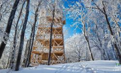 Cergowa może zaskoczyć. Uwaga na lawiny!